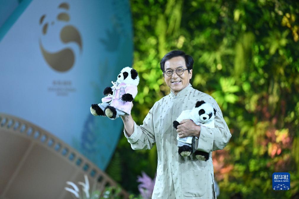 最新以小博大网站